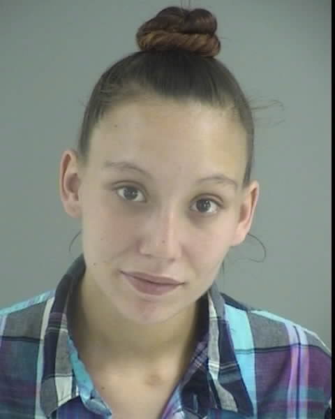 Radford commits crimes on probation - Kenbridge Victoria Dispatch